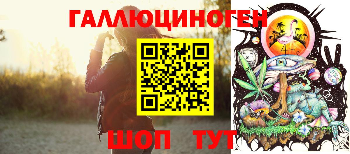 Качканар  Псилоцибиновые грибы Psilocybine cubensis  Вход с VPN 