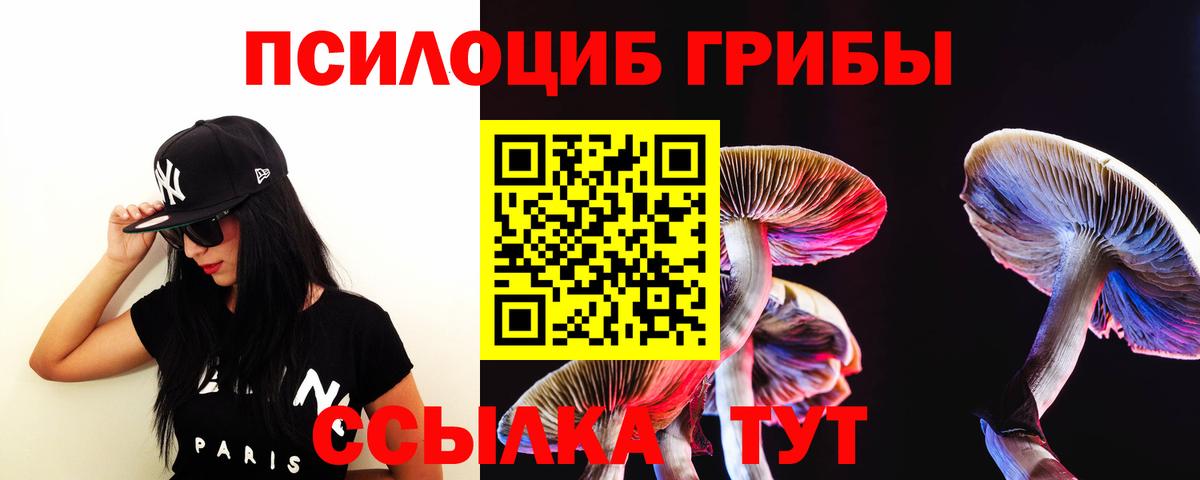 Галлюциногенные грибы Psilocybine cubensis Качканар