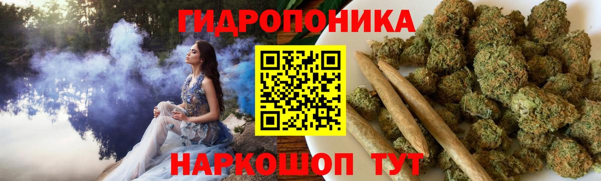 Бошки Шишки тримм  Вход с VPN  Качканар  Конопля планчик  МАРИХУАНА сатива 
